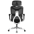 Ergonomic Office Chair A5CG-BAOSSAN