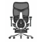 Ergonomic Office Chair PR2-BAOSSAN