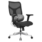 Ergonomic Office Chair AC2-BAOSSAN