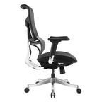 Ergonomic Office Chair AC2-BAOSSAN
