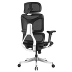 Ergonomic Office Chair A5CG-BAOSSAN