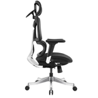 Ergonomic Office Chair A5CG-BAOSSAN