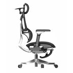 Ergonomic Office Chair CW1-BAOSSAN
