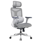 Ergonomic Office Chair AC1-BAOSSAN