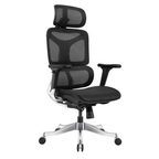 Ergonomic Office Chair A5CG-BAOSSAN