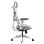 Ergonomic Office Chair AC1-BAOSSAN