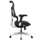 Ergonomic Office Chair HCG6-BAOSSAN