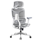 Ergonomic Office Chair AC1-BAOSSAN