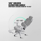 Ergonomic Office Chair BRX2-BAOSSAN