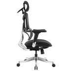 Ergonomic Office Chair AC1-BAOSSAN