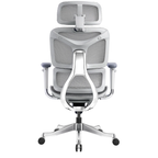 Ergonomic Office Chair A5CG-BAOSSAN