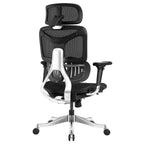 Ergonomic Office Chair AC1-BAOSSAN