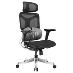 Ergonomic Office Chair AC1-BAOSSAN
