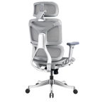 Ergonomic Office Chair A5CG-BAOSSAN
