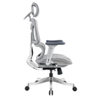 Ergonomic Office Chair A5CG-BAOSSAN