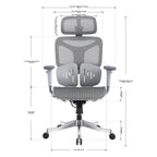 Ergonomic Office Chair AC1-BAOSSAN