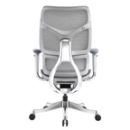 Ergonomic Office Chair HCG6-BAOSSAN