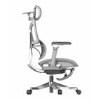 Ergonomic Office Chair CW1-BAOSSAN