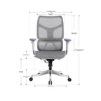 Ergonomic Office Chair TFGP6-BAOSSAN