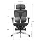 Ergonomic Office Chair CW1-BAOSSAN