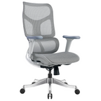 Ergonomic Office Chair HCG6-BAOSSAN